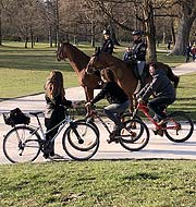 Polizeikontrollen im Englischen Garten (©Foto. Martin Schmitz)